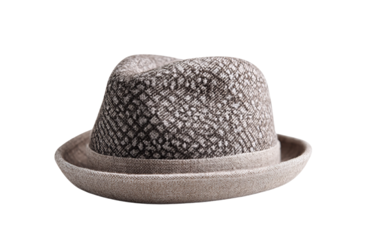 Light gray and beige patterned trilby hat with isolated on a transparent background in PNG format