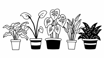 Illustration of five potted plants with varying leaf shapes and pot designs