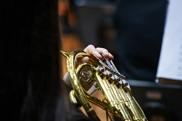 Fototapeta premium French Horn Player in Performance