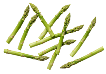 Fresh green asparagus spears on transparent background food still life