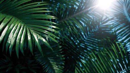 Sunlight filters through lush palm leaves, creating a serene tropical ambiance, evoking a sense of tranquility and escape, reminiscent of summer vacations and island retreats
