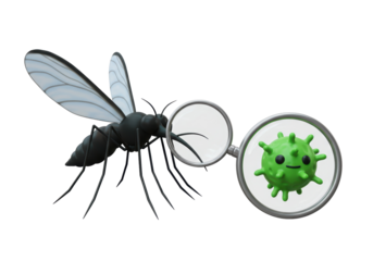 Isolated Mosquito Examining Virus with Magnifying Glass