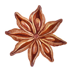 Watercolor illustration of star anise spice in brown tones, isolated on white background, aromatic seasoning for cooking and Christmas baking, decorative element for festive design.