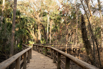 wooden bridge in the woods