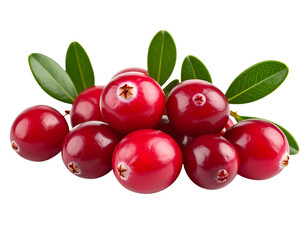 Obraz premium Cranberries isolated on transparent background