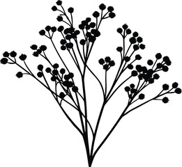 Baby's Breath Sprigs Silhouette | Delicate Gypsophila Sprigs Silhouette