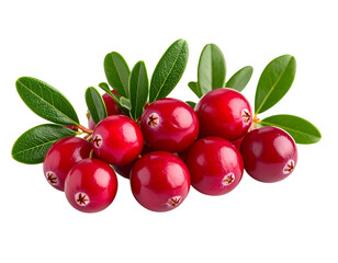 Lingonberries with leaves isolated on transparent background