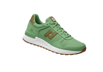 Isolated Sneaker for Casual Wear