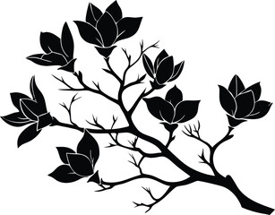 Magnolia Tree Branch Silhouette   Magnolia Blossom Branch Silhouette © Shahar