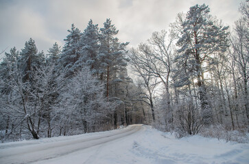Fototapeta premium Winter Road Through Snow-Covered Trees