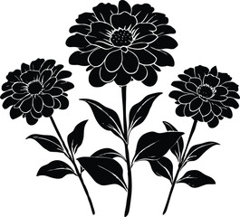Zinnia Blooms Silhouette | Colorful Zinnia Flowers Silhouette