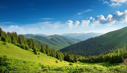 Obraz premium serene mountain landscape with bamboo forest and misty horizon