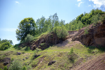 A lush hillside with green trees against a clear blue sky.
