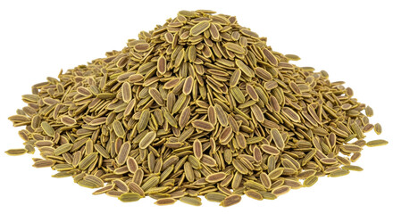 Isolated pile of dill seeds