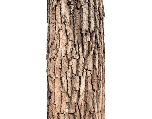 Fototapeta premium Close-up of tree bark