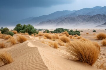 Sand dune stretching into desert landscape with mountains looming under stormy sky