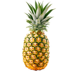 Fototapeta premium Ripe and Fresh Whole Pineapple, Standing Upright