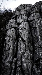 Close-up of textured dark gray rock face
