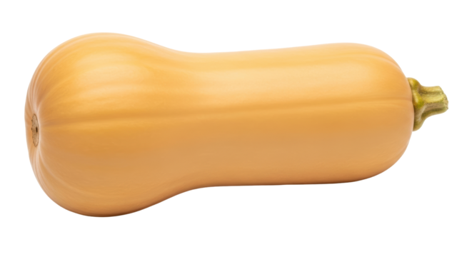 Isolated Butternut Squash