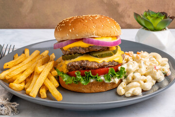 double cheese burger with  macaroni salad and  fries