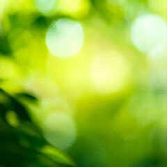 Obraz premium Bright and Cheerful Light Green Abstract Background with Bokeh Effect and Soft Sunshine Glow
