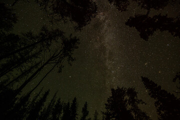 Night time in the Canadian Rockies