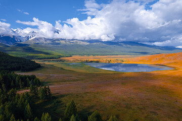Obraz premium Autumn landscape Altai yellow forest crystal clear lake Dzhangyskol and snowy mountain peaks, aerial view.