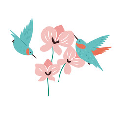 Colorful Hummingbirds and Pink Flowers. Vector Illustration