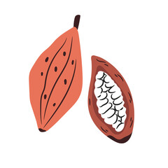 Hand-drawn Vector Illustration of Cacao Fruit
