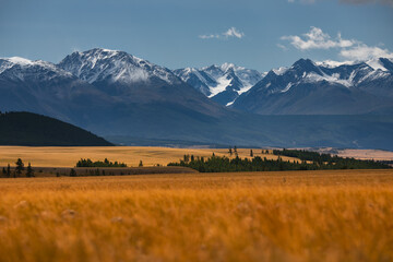 Majestic mountain range with snow-capped peaks and golden fields under blue sky