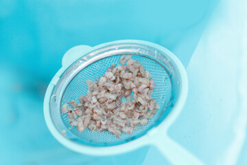 Removal prostate adenoma tissue collection in medical procedure