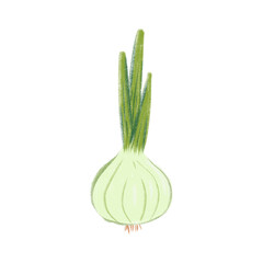 Fresh green onion with vibrant leaves displayed against a clean background