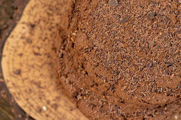 round chocolate biscuits with white sesame seeds and cocoa powder