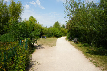 Rushcliffe Country Park, Nottinghamshire, England – August 12 2025: Sunny walking trail with benches and picnic area in summer.