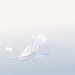 Obraz premium Feather floating gently in slow air for lightness and peace symbolism
