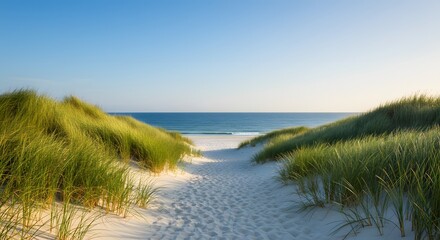 Coastal pathway leading to the ocean