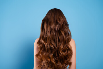 Rear view of a young woman with long wavy brown hair on a blue background, highlighting beauty and...
