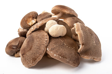 Fresh whole shiitake mushrooms isolated on white