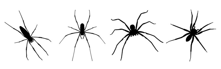 Silhouettes of black spiders.Halloween decorations.Vector collection of spiders.