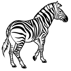 zebra vector illustration