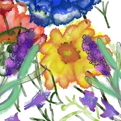 Watercolour flowers in fields 