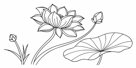 Lotus flower with buds and leaf in outline style, botanical drawing, simple floral illustration art created with generated ai