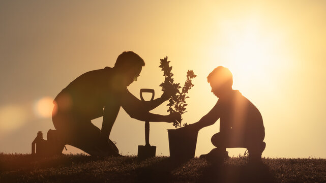 Planting a family tree. Father and little boy planting young tree in the garden. Environmental awareness. Spring concept, save nature and caring for Mother Earth concept .