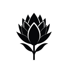 Protea flower silhouette icon on white background