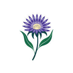 Stokesia flower vector icon on white background