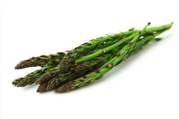 Isolated wild asparagus on a white background
