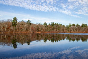 Calm Lake with Tree Line and Cloud Reflections in Autumn
