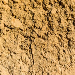 Fototapeta premium Close-up of rough, textured sandstone