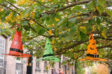 Colorful Halloween witch hats hanging from a tree in a residential neighborhood during autumn