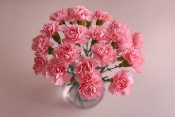 Fototapeta premium Top down view of small pink carnations in a vase